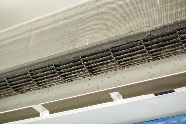 Best HVAC Duct Inspection Services  in Erwin, NC